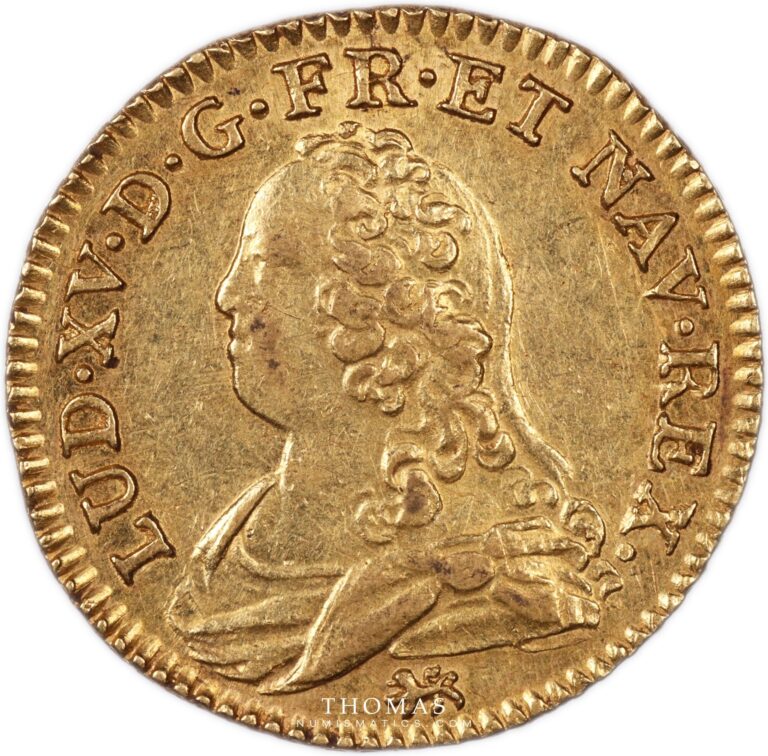 obverse louis XV gold louis d'or aux lunettes 1729 T Nantes The Treasure of Rue Mouffetard