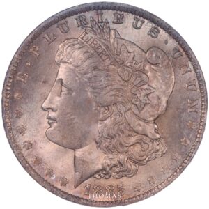 Morgan dollar 1885 O Anacs ms 65 avers