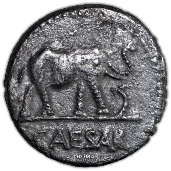 denier romain jules cesar elephant superbe avers