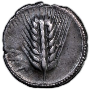 lucania-stater - obverse