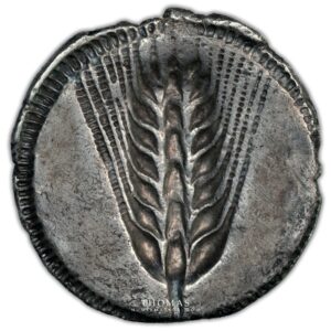 lucania-stater - reverse