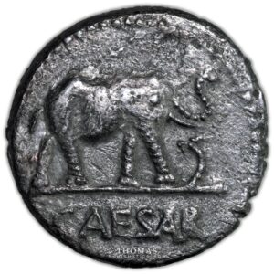 Julius Caesar - Denarius - Roma - 6