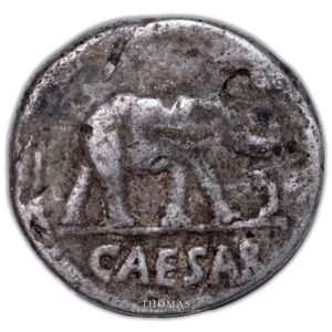 Julius Caesar - Denarius - Roma - 8