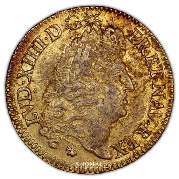 Gold - Louis XIV – Louis d’or a l'ecu – 1690 E Tours - Treasure of plozevet