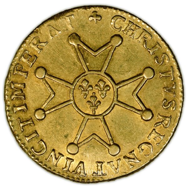 Louis XV - Gold Louis d'or à la croix du Saint-Esprit - 1718 O Riom