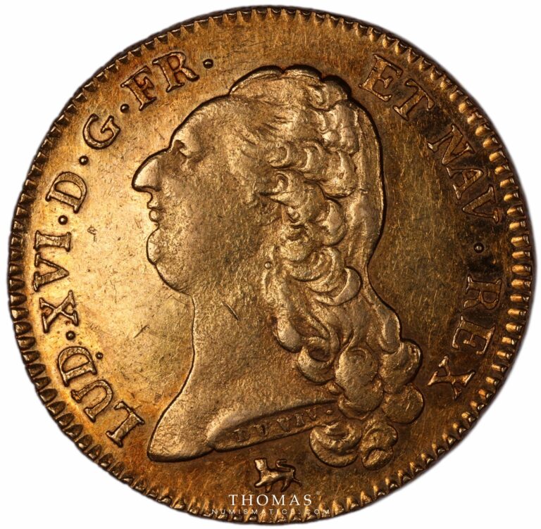 Louis XVI - Gold - Double Louis d'or à la tête nue - 1792 A Paris