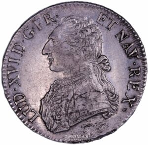 Louis XVI - Ecu aux branches d'olivier - 1789 T Nantes