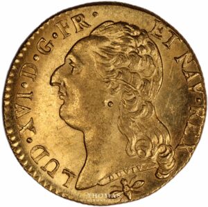 Louis XVI - Gold - Louis d'or à la tête nue - 1786 D Lyon