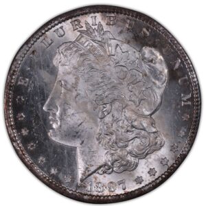 dollar morgan 1887 redfield collection obverse