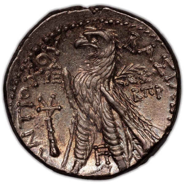 Royaume Séleucide – Antiochos VII – Tétradrachme – Pedigree 30 septembre 1981 revers