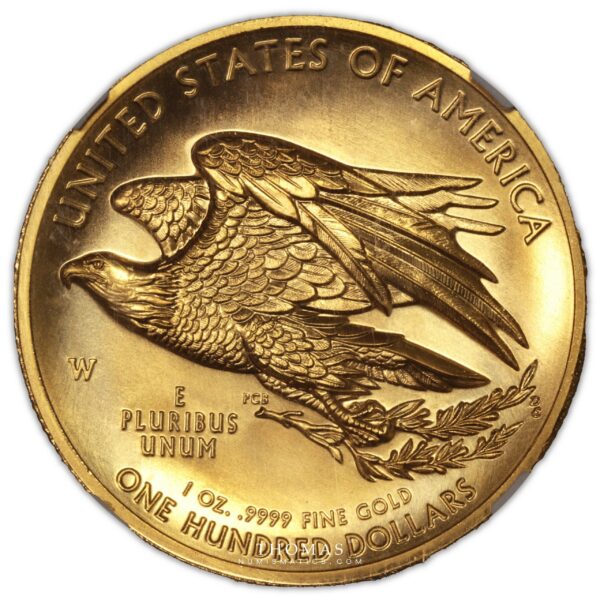 USA 100 dollars gold eagle 2015 NGC MS 70 revers