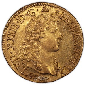 Louis XIV – Louis d’or à la tête nue – 1672 D Lyon avers