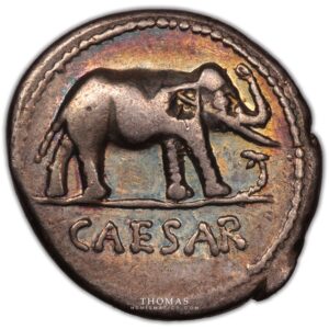 denarius Julius caesar elephant obverse