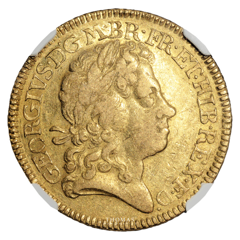 Monnaie – Grande-Bretagne George I Guinée or 1719 – NGC VF 35 – Trésor Ellerby area Hoard-Avers