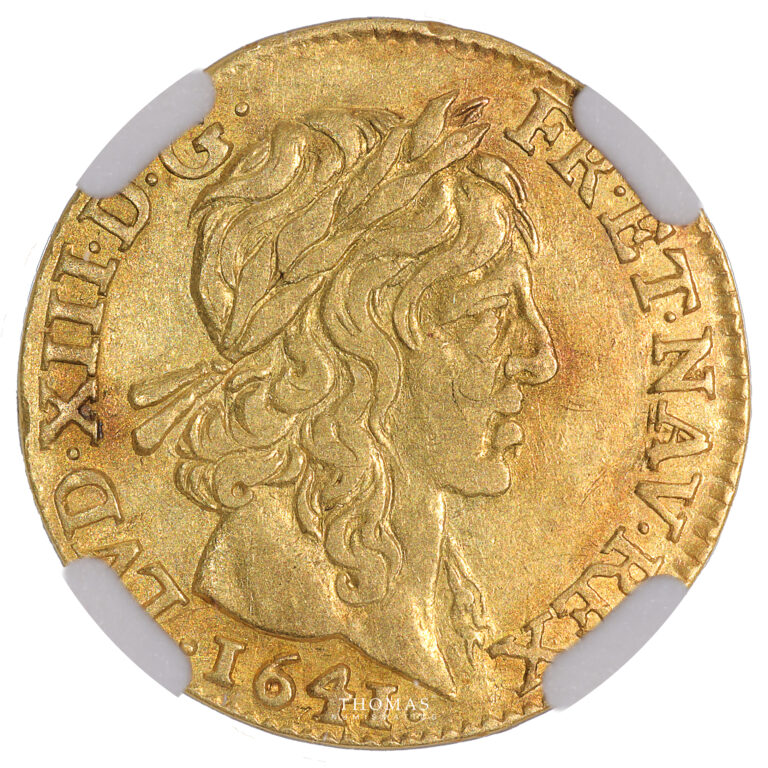Monnaie - France Louis XIII - Demi Louis d'or au Bandeau - A Paris 1641 - NGC AU 53-Avers