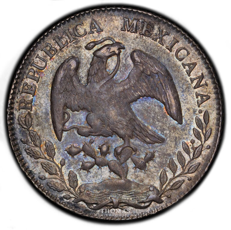 8 reales mexico 1876 revers