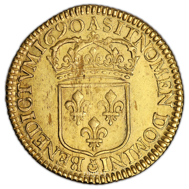 Coin France - Louis XIV - Gold - Double Louis d'or à l'Écu - 1690 A Paris reverse