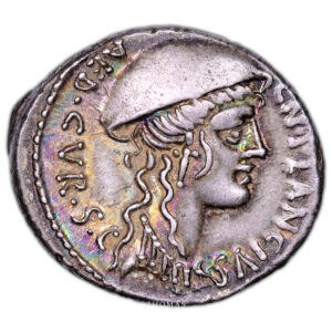 Roman coin - Plancia - Silver Denarius- Roma - 55 BC obverse