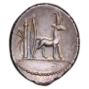 Roman coin - Plancia - Silver Denarius- Roma - 55 BC reverse
