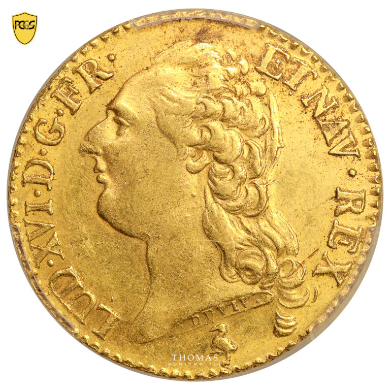Monnaie France - Louis XVI - Louis d'or à la tête nue - 1785 A Paris - Trésor de Vendée - PCGS AU 58-Avers