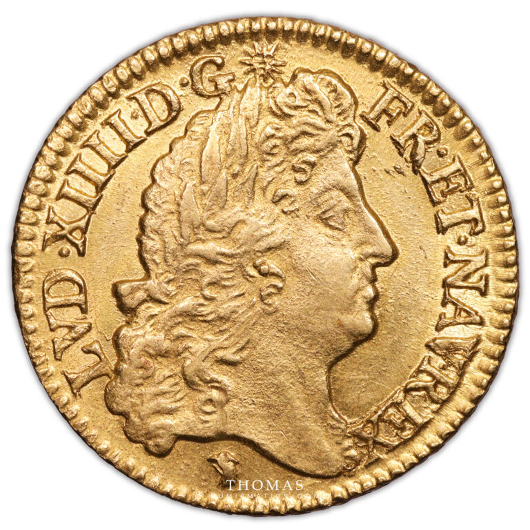 coin France - Louis XIV - Gold - Louis d'or à l'écu - 1690 D Lyon obverse