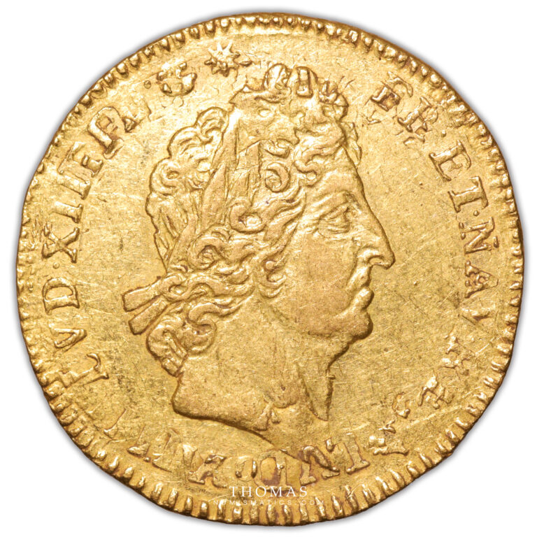 Coin France - Louis XIV - Louis d'or aux 8 L et aux insignes  - Paris - Hoard -  Treasure of Valenciennes obverse