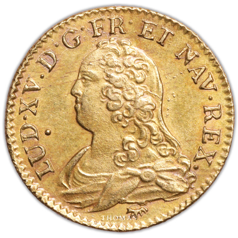 Louis XV - Louis or lunettes Trésor de la rue mouffetard 1729 A Paris obverse